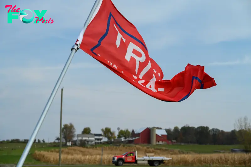 A Trump flag along Millersburg Rd in Wayne County, OH.