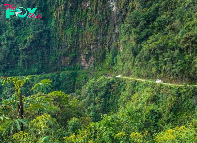 North Yungas Road