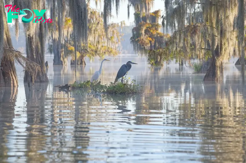 Louisiana