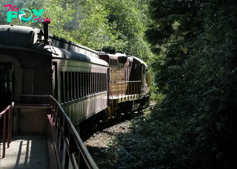 Skunk Train