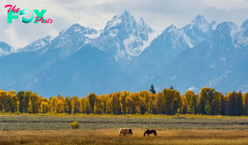 Wyoming