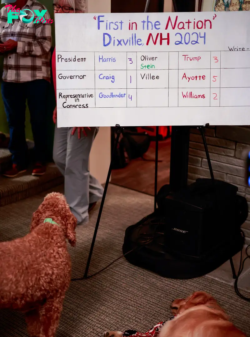 Dogs brought to the polling location in Dixville Notch, N.H., the tiny town that hosts a traditional first-in-the-nation vote, just after midnight on Election Day, Tuesday, Nov. 5, 2024. (Ryan David Brown/The New York Times)