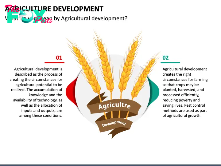 Agriculture Development slide