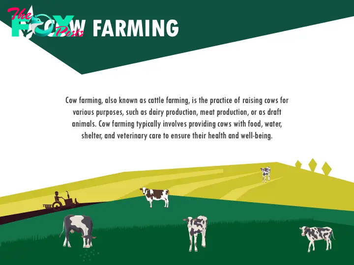 Cow Farming slide