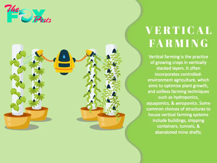 Vertical Farming slide