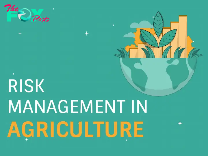 Risk Management in Agriculture slide