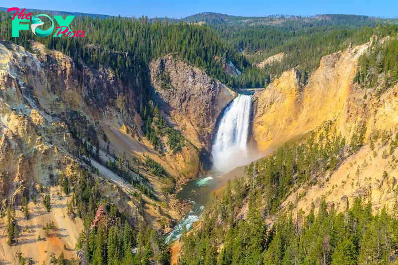 Grand Canyon of Yellowstone