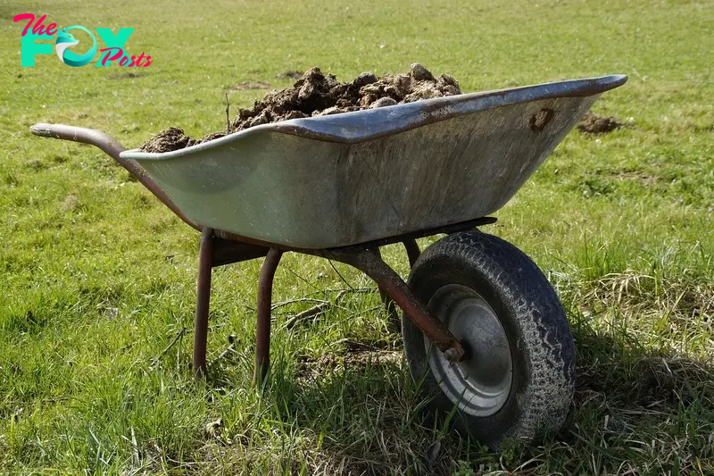 A wheelbarrow with fertilizer on a garden | Source: Pixabay