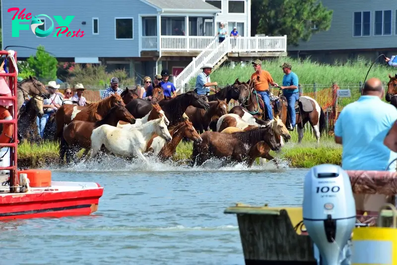 Chincoteague Island