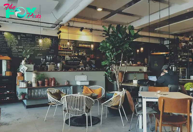 An interior of a coffee shop | Source: Unsplash