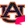 Auburn