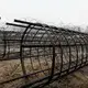 A 'barbed wire curtain' rises in Europe amid war in Ukraine