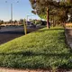 Western US cities to remove decorative grass amid drought
