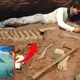 A 55-foot Triassic Sea monster fossil has been discovered in Nevada