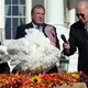 Biden pardons turkeys in White House Thanksgiving tradition, makes 'red wave' joke