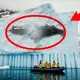Turns Out Antarctica Holds More Secrets Than People Think