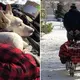 Man Takes His Paralyzed Dog For A Stroll In A Wagon Every Day, Says She’d Do The Same For Him