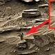 This Alien Female Was Recorded Walking On Mars – She Appears To Stalk NASA’s Curiosity Rover