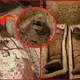 Αncient Egyptian ‘city of the deаd’ discovery reveals ‘elite’ mummies