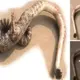 Strange Phenomenon: Snakes With Legs And Claws First Appeared In China