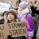 Swedish activists sue state over its climate policies