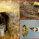 In a gold mine in California, ancient tools dating back 40 million years were discovered