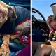 Pilot Flied 400 Miles With An Old Dog To Find Her A Home Where He Can Be Cared For And Loved For The Rest Of His Life