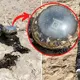 “Surprised” with an unknown object found on an Australian beach, nobody knows what it is