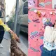 Blackpink Lisa can’t stop loving pet dog, Jisoo blushes like cutie