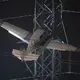 Plane caught in power lines after crash, 2 occupants unhurt
