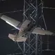 2 trapped in small plane after it strikes high-tension power lines