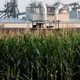 EPA seeks to mandate more use of ethanol and other biofuels