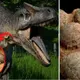 Fossilized dinosaur eggs from roughly 70 million years ago that included embryos have been found by researchers in Argentina