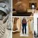 Pictures of Huge Skeletons? Proof That Earth Was Inhabited By Giants