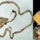 Admire the 3000-year-old condom of the Egyptian pharaoh Tutankhamun: The oldest thing still alive