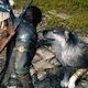Final Fantasy 16 Will Let You Fight Alongside Torgal The Wolf