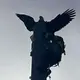 Eagle saved from atop 120-foot tall radio tower lightning rod