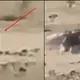 A Huge Unidentified Flying Object Landed In Saudi Arabia