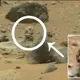 Mysterious Alien Warrior Captured By Curiosities On Mars (Video)