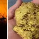 Gold nugget worth $100,000 uncovered by lucky prospector in Western Australia