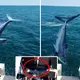 Watch Dramatic Moment World’s Fastest Shark Jumps Onto Boat As Stunned Fishermen Frantically Flee Deck