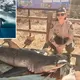 Fury After 8-foot Great White Shark Washes Up On Shore Injured By Fishing Gear