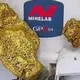 Prospector strikes gold with 9-pound nugget