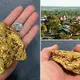 Striking gold! Lucky prospector unearths a ‘monster’ 1.4kg nugget worth up to $100,000