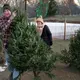 Christmas tree demand remains high despite inflation