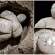 It is said that the goddess of fertility is shown on an 8,000-year-old statue that was discovered in Turkey’s Catalhoyuk
