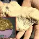 This Australian Man Just Found A Massive 4kg Gold Nugget