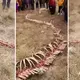 Mysterious 60ft ‘DRAGON skeleton’ found by Chinese villagers