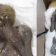 A mummified “Mermaid” will be examined by Japanese researchers
