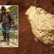 These MASSIVE Gold Nuggets were all found with Metal Detectors